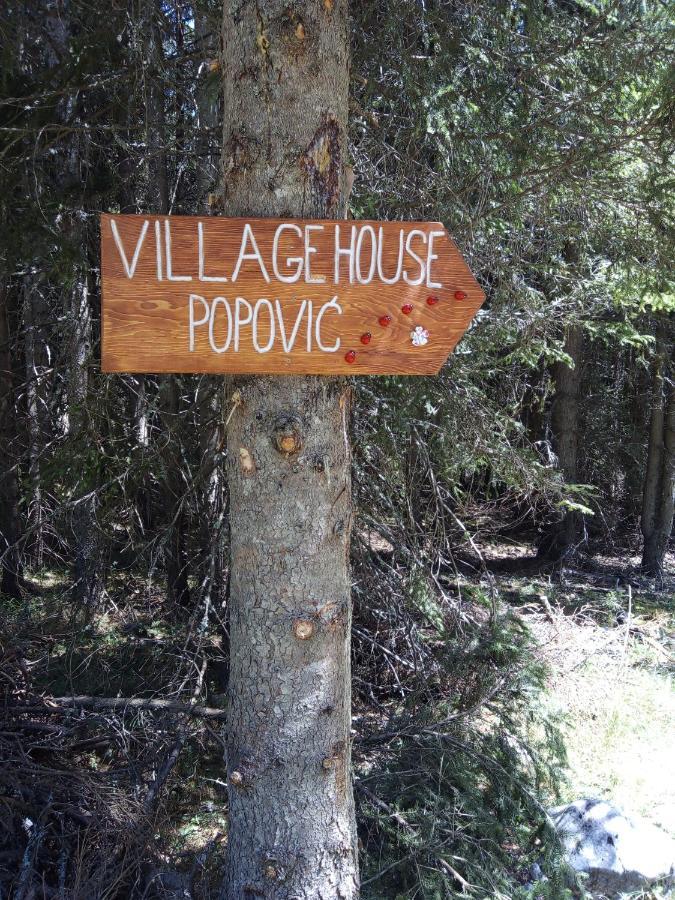 Village House Popovic Žabljak Eksteriør billede