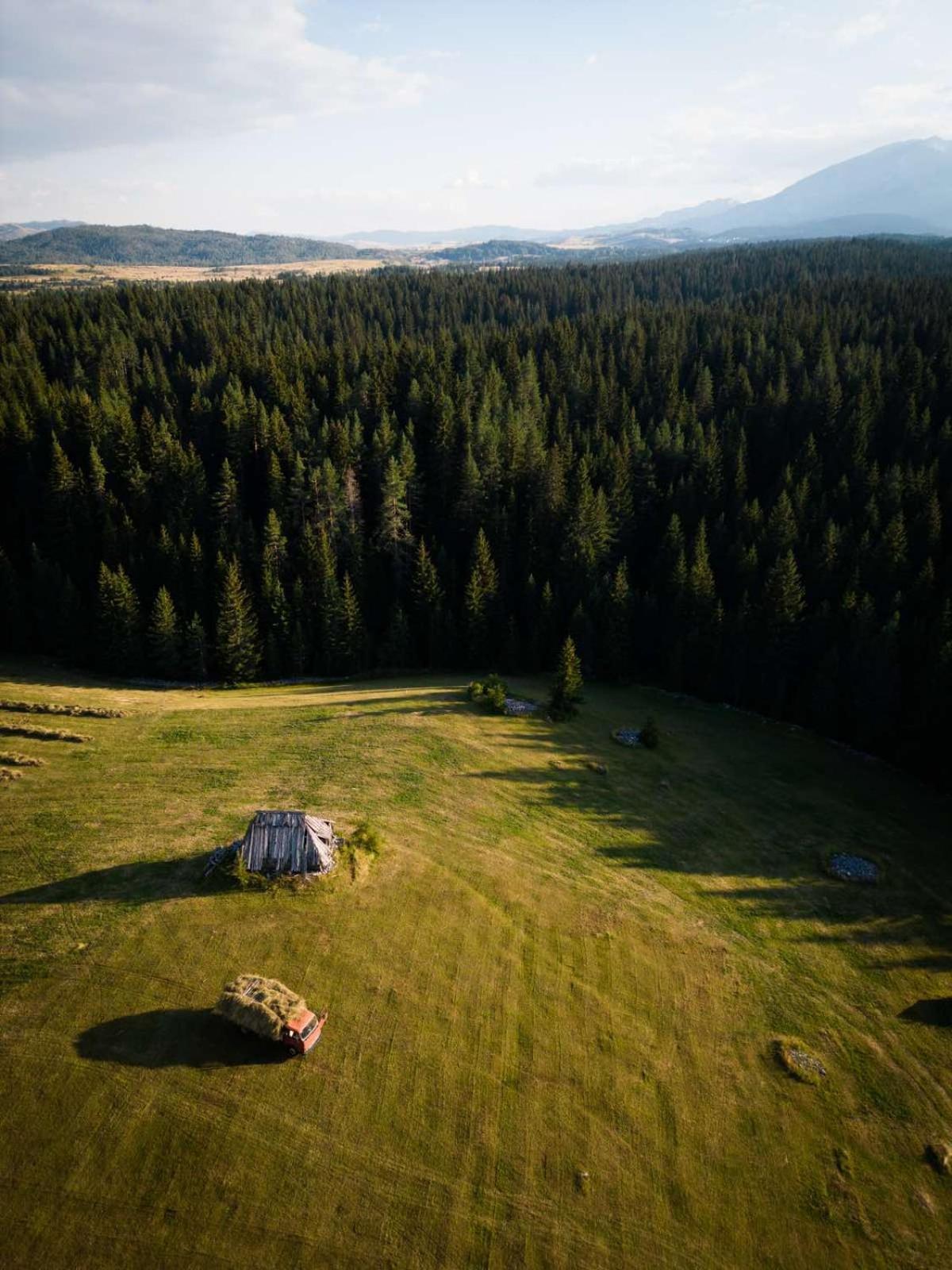 Village House Popovic Žabljak Eksteriør billede